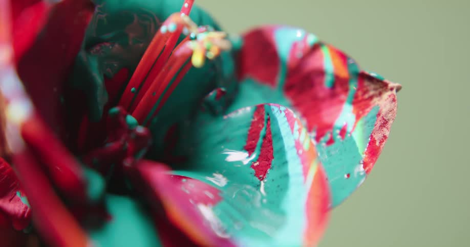 The paint drips from the flower