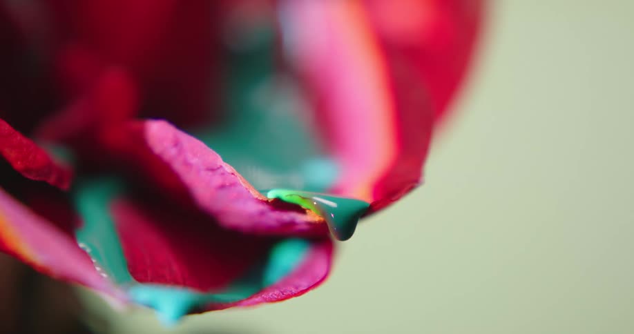 Green paint drips from the flowers pink petals