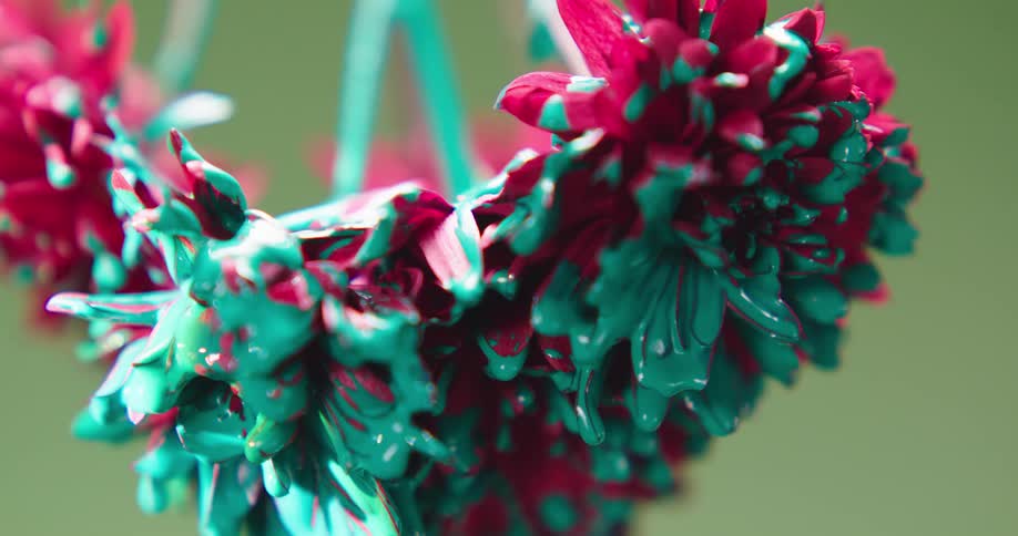 Paint dripping off of flowers