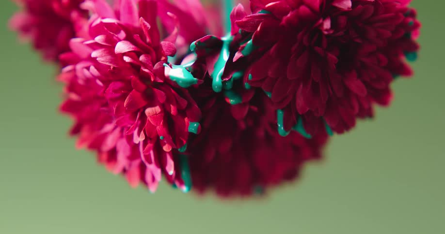 The paint slowly pours over the flower
