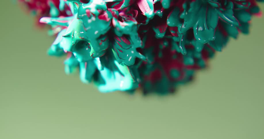 Abstract footage of paint dripping off flower petals