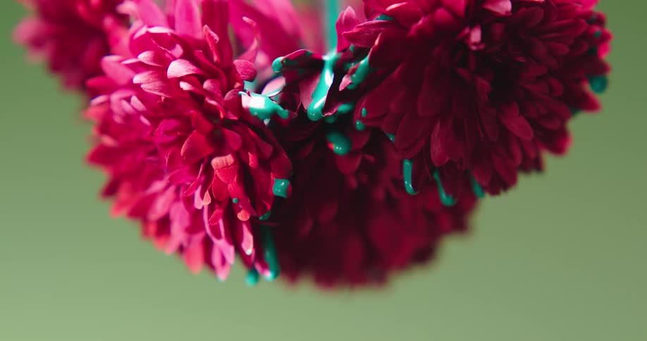 The paint is dripping from the flower
