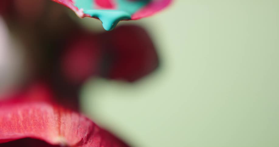 The neon paint drips from the flower
