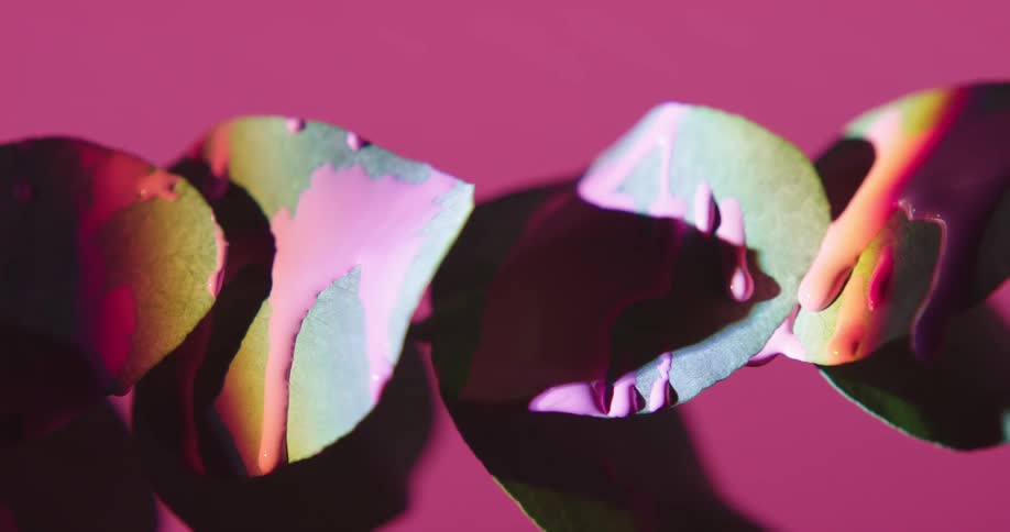 Pink paint is poured onto plant leaves in a room with pink walls