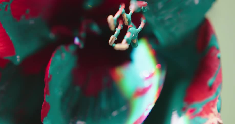 Paint is dripping from the flower