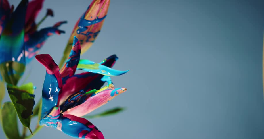 Blue paint sprayed onto a flower and drips off against a blue background