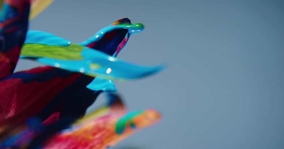 A blue paint drop rolls off a flower leaf