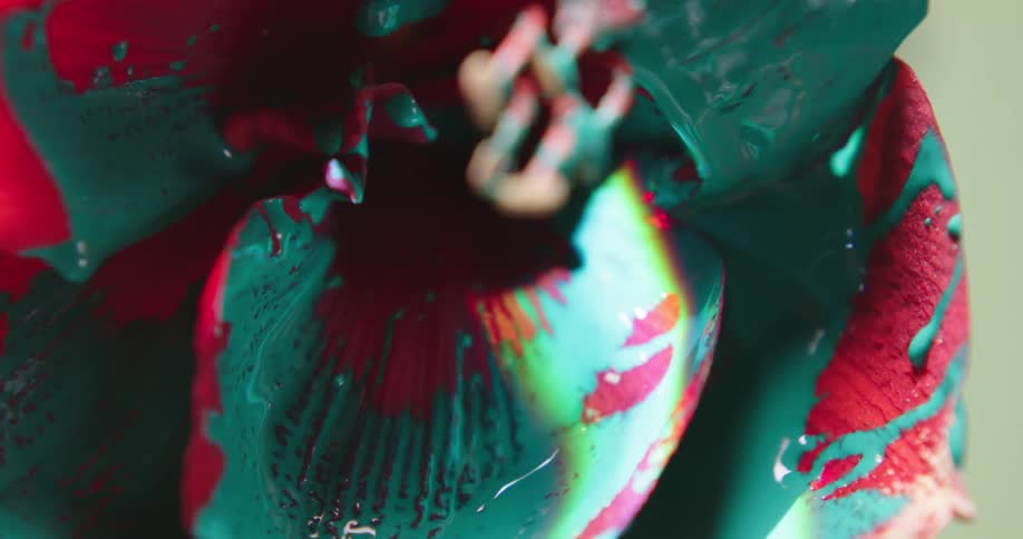 Green paint is dripping on a red flower
