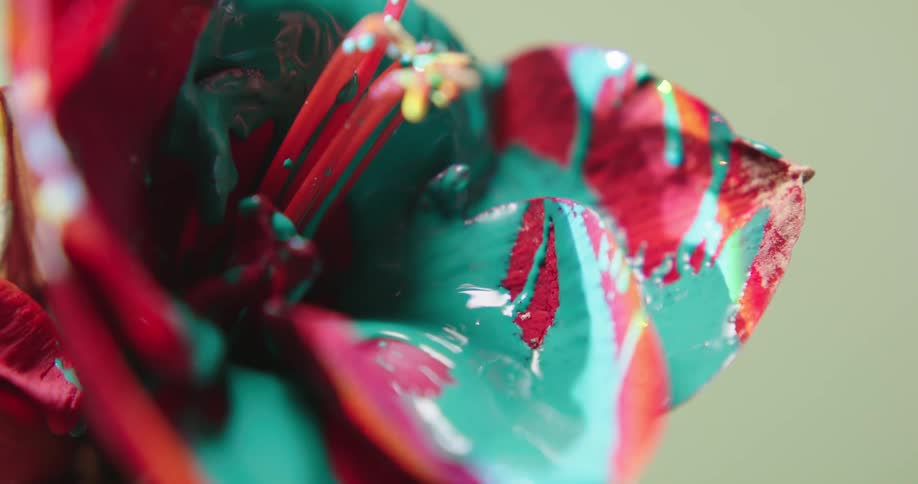 Blue colored liquid flows through multi colored artificial flower