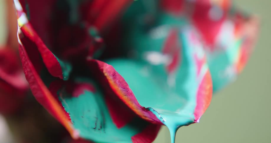 Close up of colorful bright green liquid ink dripping from the petals of a red flower