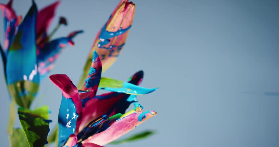 Paint drips vertically from plant leaves