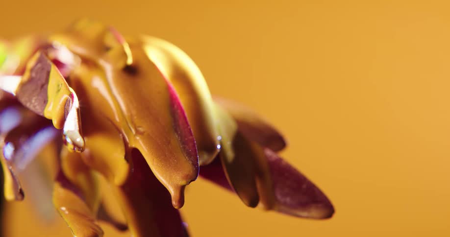 A translucent gel drips from a flower