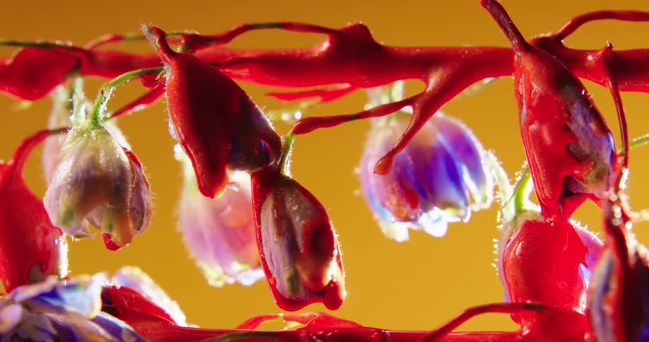 The flowers are covered in paint