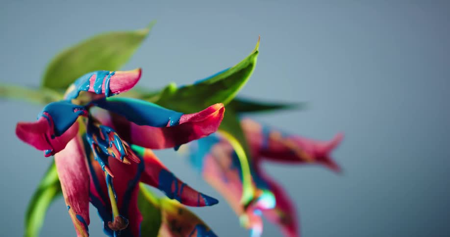 Colorful rainbow liquid glitter shimmering ink drips from a flower indoors