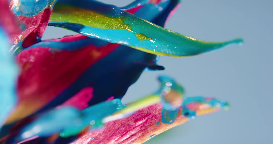 Wind blows blue paint from maroon flower petals