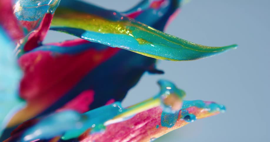The plant is covered in paint