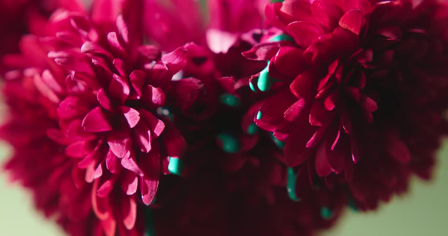 Green paint drips off of the petals of a red flower