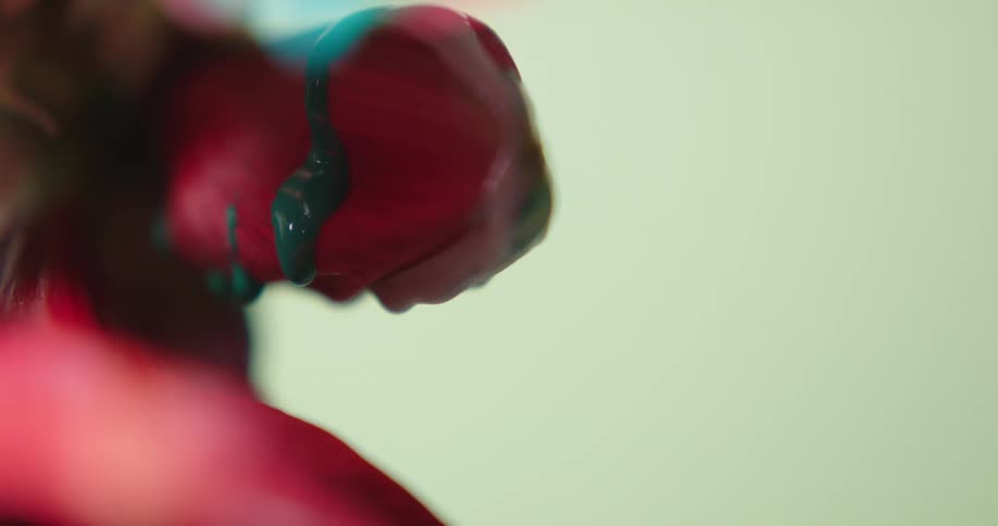 Close up of colorful bright green liquid ink dripping from the petals of a red flower