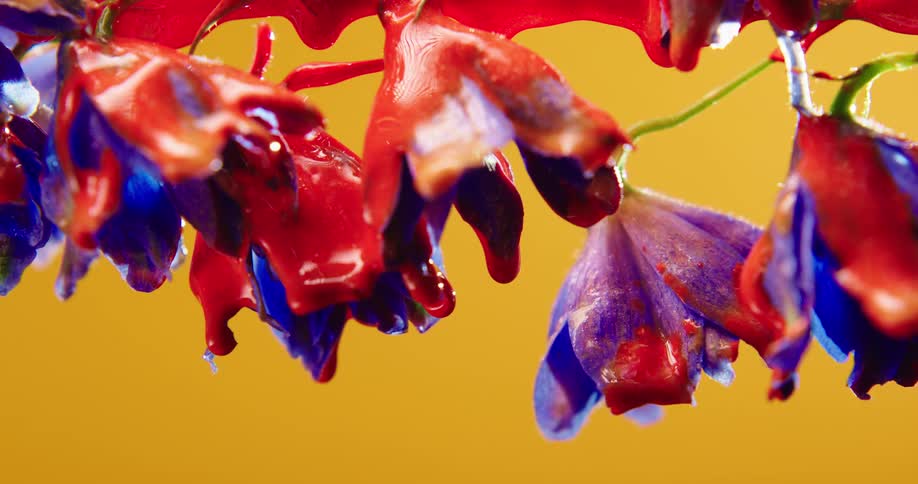 Colorful rainbow liquid glitter shimmering ink drips sideways from a flower