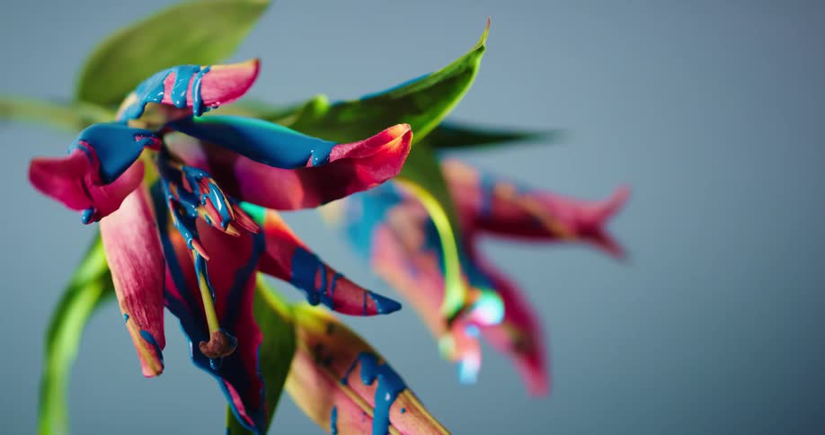 A view of paint dropping off of flowers