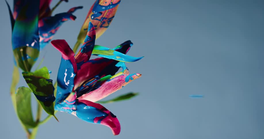 Blue paint blowing off of a flower