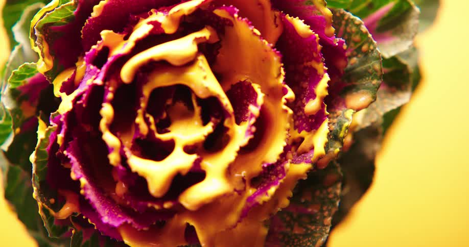 A purple flower has a coating of orange paint on its petals that is dripping off