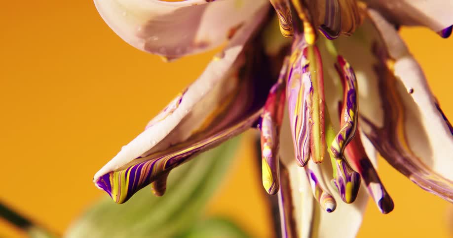 Paint dripping off of flower petals
