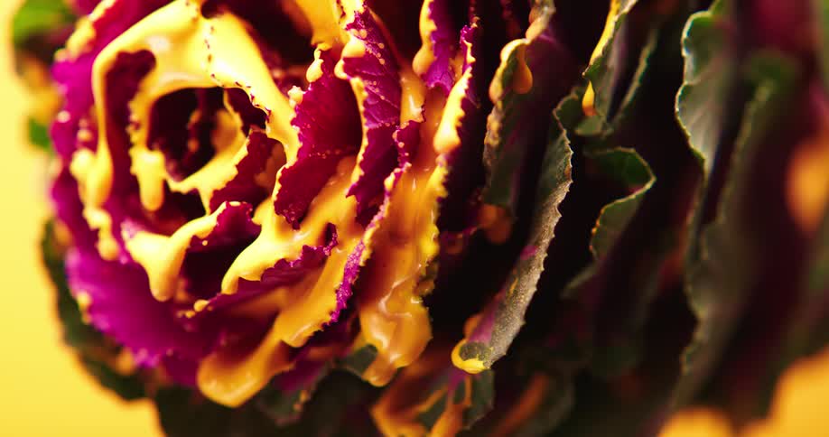 Paint dripping off of a flower