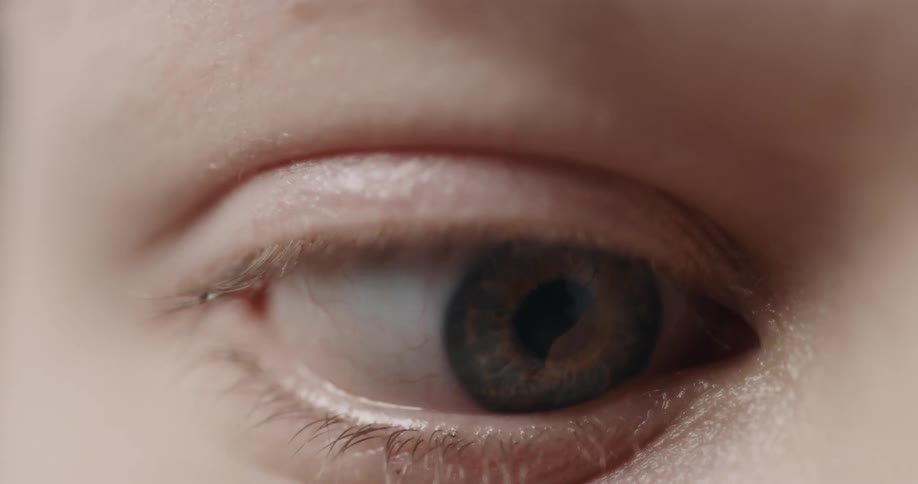 Closeup view of a persons eye is displayed