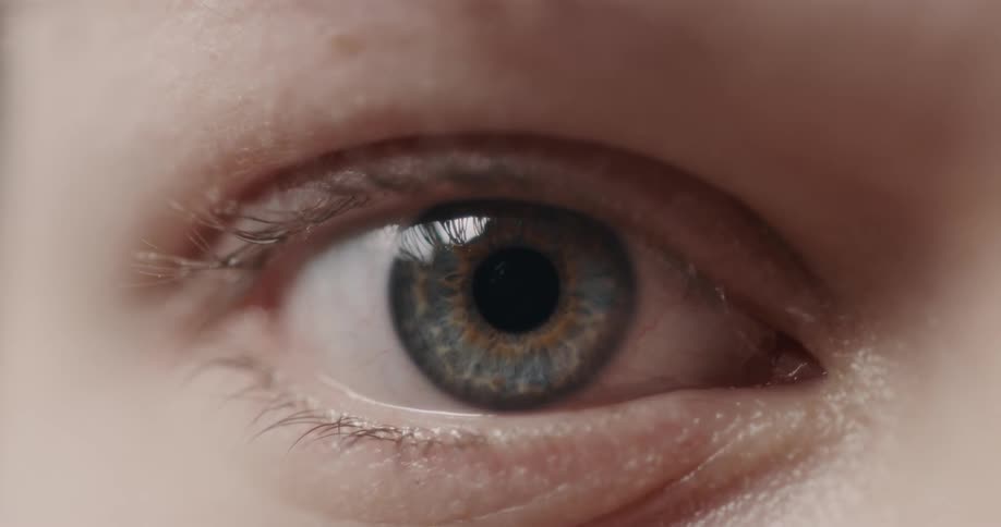 A close up view of an eye