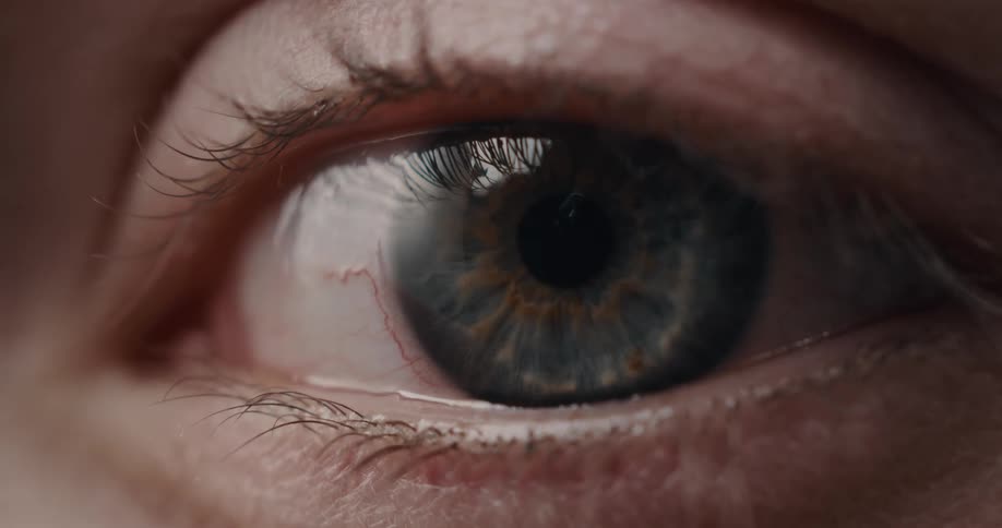 Close up view of a persons eye is displayed
