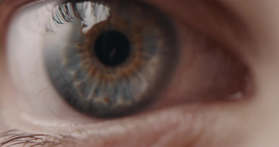 Closeup of a human eyeball is displayed