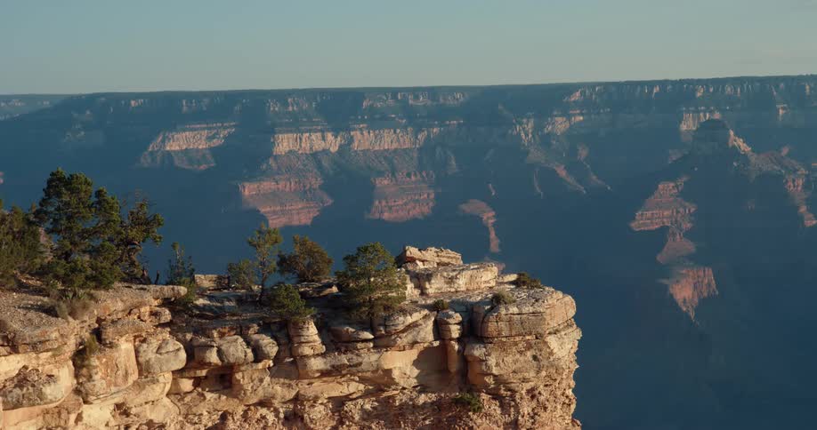 Trees growing over a cliff in the grand canyon national park in arizona