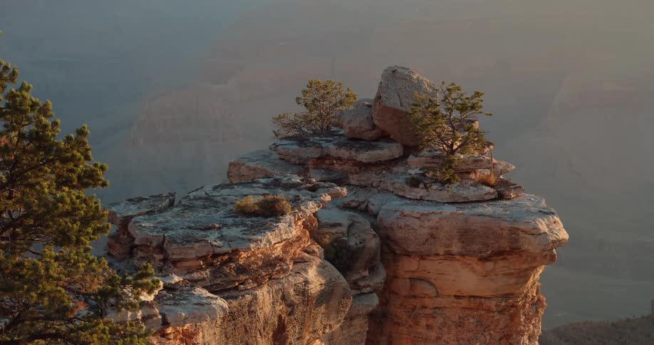 The sun shines on rocks and trees on a rocky ledge and mountains can be seen in the distance through the fog