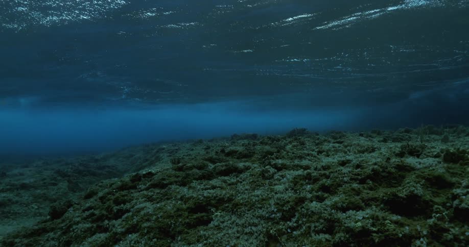 The bottom of the ocean and waves as they pass above