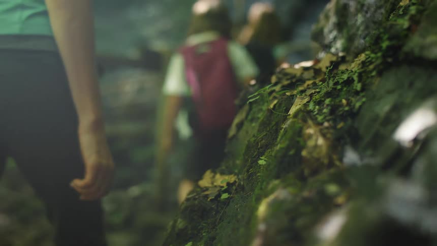 Family walking near rocks covered in moss in the forest at morning