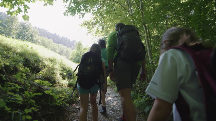Family of four leisurely hiking on a trail through the forest on a sunny day