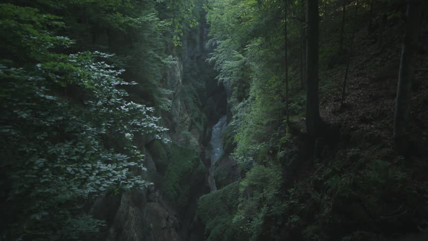 River flowing at the bottom of a ravine on the mountains surrounded by trees
