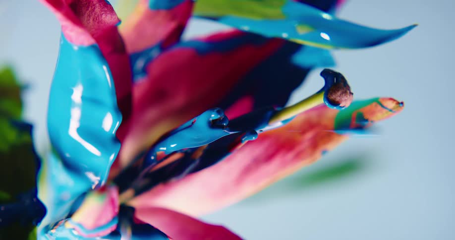 Colorful rainbow liquid glitter shimmering ink drips sideways from a flower