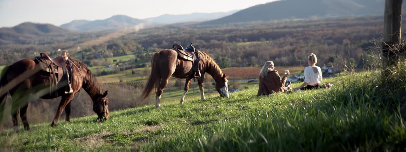 Two women sitting on a blanket in the grass while their horses graze