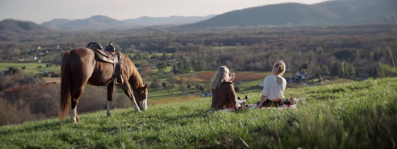 Friends drink wine in the Virginia countryside