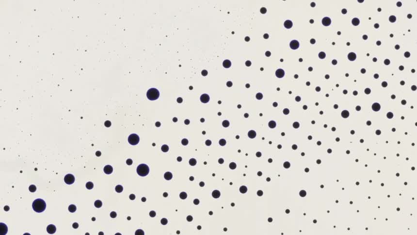 Purple dots of different sizes move upwards against a white background