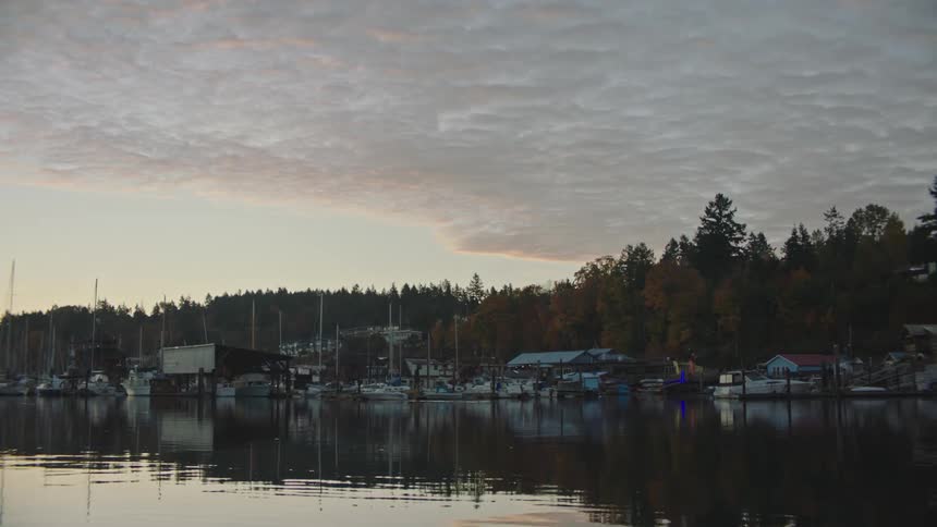 Boats sit docked in the marina along the shore at sunrise