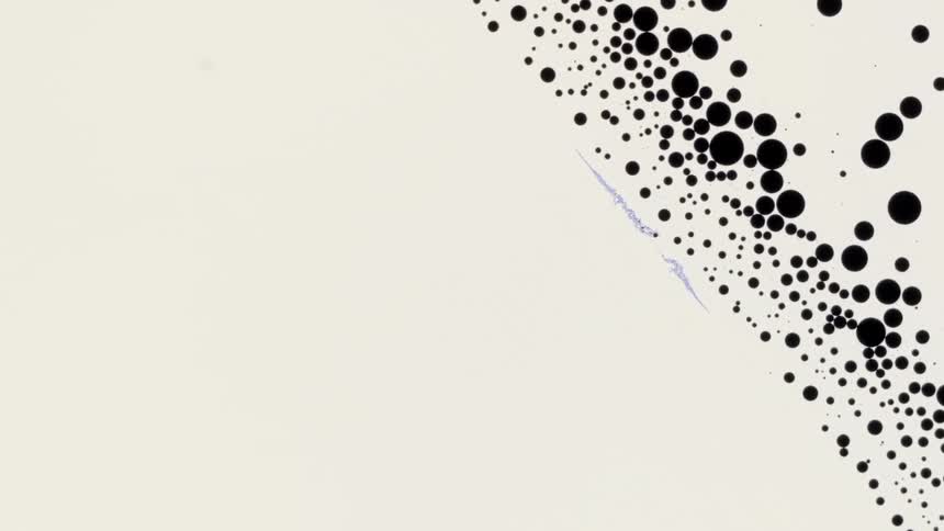 A line of black dots moves against an off white background