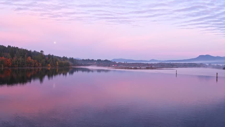 A bird flies across the serene ocean vista with low hanging fog at dusk