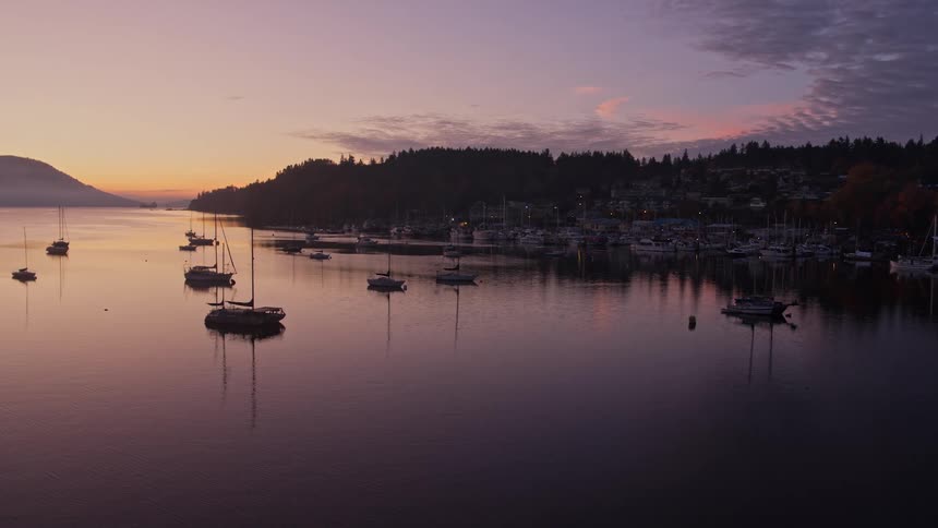 A bird flies over anchored boats sitting at a marina during sunrise