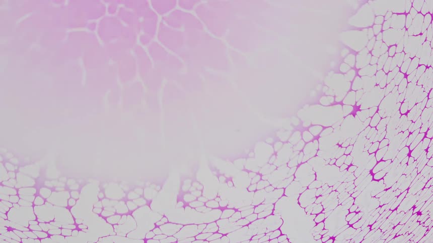 abstract pink color reaction under a microscope