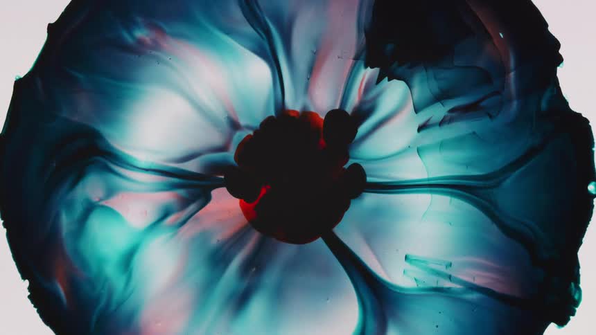 abstract chemical reaction of a dark color spreading like a flower
