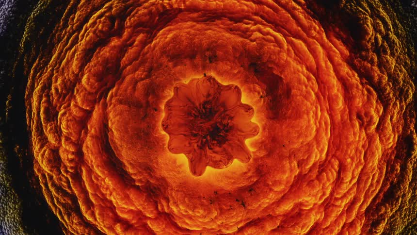 abstract chemical fire reaction in a petri dish
