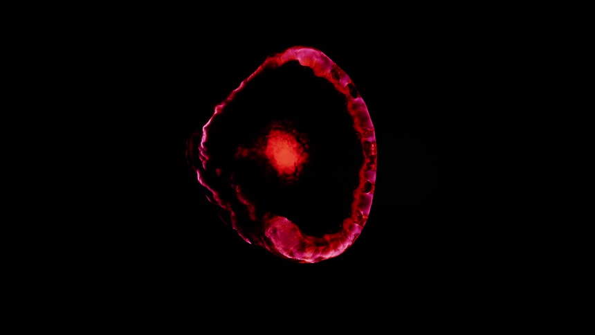 a red abstract chemical reaction appears on the black screen